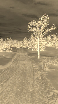 Sepia + Negatyw