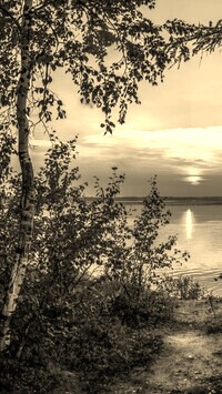 Szary + Sepia