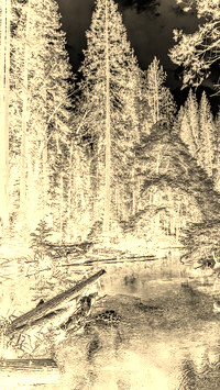 Sepia + Negatyw
