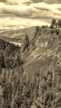 Szary + Sepia