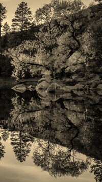 Szary + Sepia