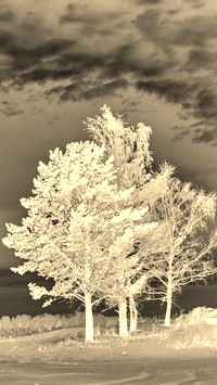 Sepia + Negatyw