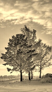Sepia