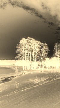 Sepia + Negatyw