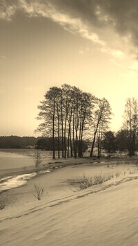 Szary + Sepia