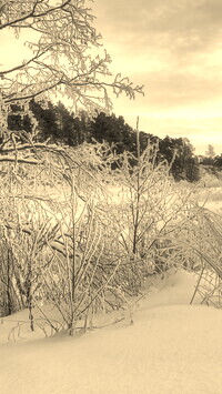 Szary + Sepia