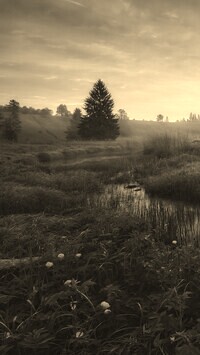 Sepia