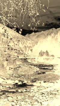 Sepia + Negatyw