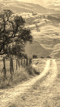 Szary + Sepia