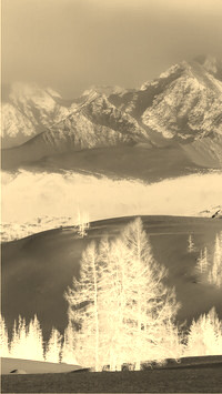 Sepia + Negatyw