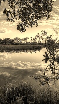 Szary + Sepia