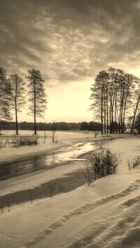 Szary + Sepia