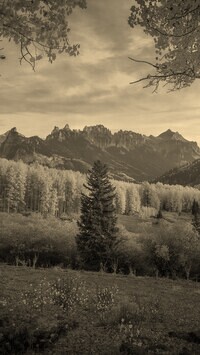 Szary + Sepia