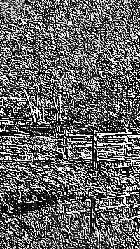 Skamielina