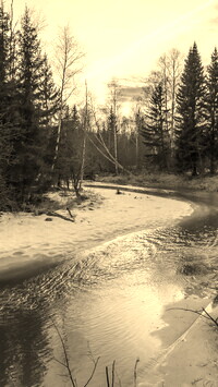 Szary + Sepia
