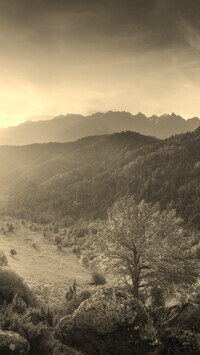 Sepia