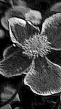Skamielina