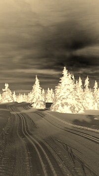 Sepia + Negatyw
