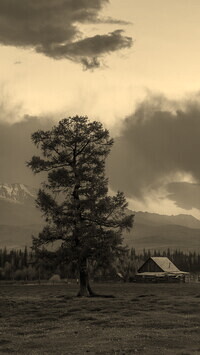 Sepia