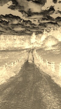Sepia + Negatyw