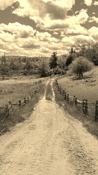 Sepia