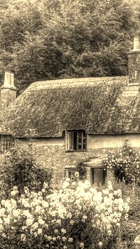 Szary + Sepia