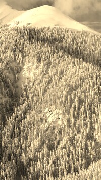 Szary + Sepia
