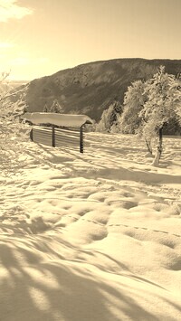 Szary + Sepia