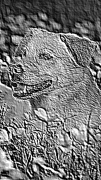 Skamielina