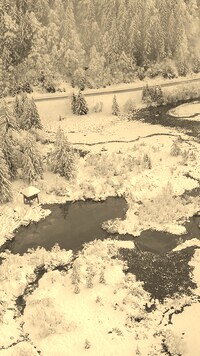 Szary + Sepia