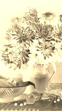 Sepia + Negatyw