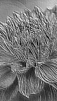Skamielina