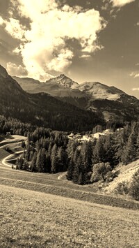 Szary + Sepia