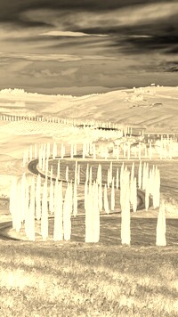 Sepia + Negatyw