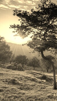 Sepia