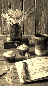 Szary + Sepia
