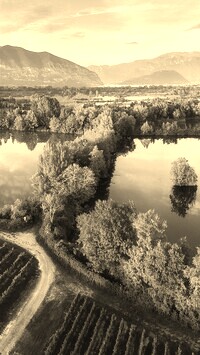 Sepia