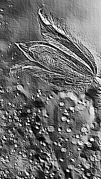 Skamielina