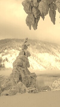 Szary + Sepia
