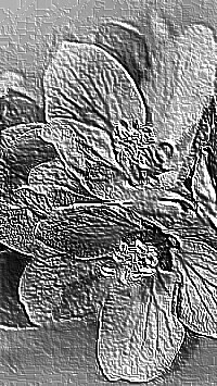 Skamielina