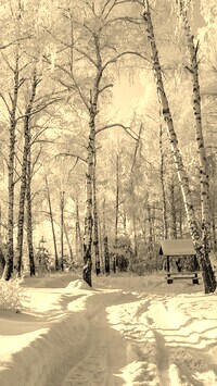 Szary + Sepia