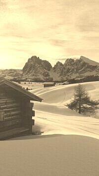Szary + Sepia