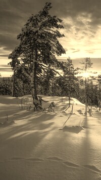 Sepia