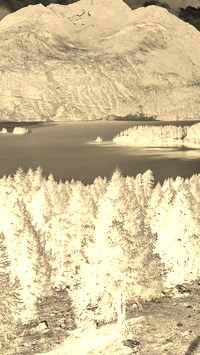 Sepia + Negatyw