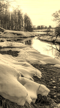 Szary + Sepia
