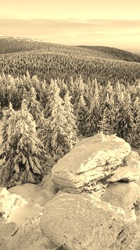 Szary + Sepia