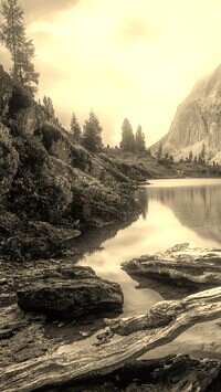 Szary + Sepia
