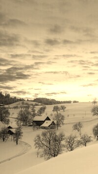 Szary + Sepia