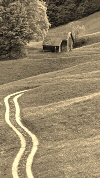 Sepia