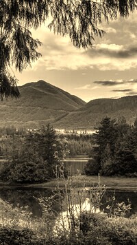 Szary + Sepia